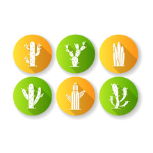 Cactuses Flat Design Long Shadow Glyph Icons Set. American Desert Plants With Fleshy Trunks. Family Cactaceae. Prickly Succulents. Arid Area Thorny Wildflowers. Silhouette RGB Color Illustration