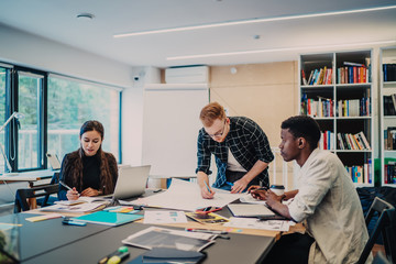 Wall Mural - Focused diverse colleagues creating common project