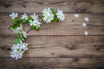 Poster - Branches of a blooming apple tree with white flowers on a wooden background, with copy space