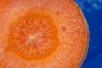 orange carrot slice. Close-up macro photography. the vegetables under the water in the water.