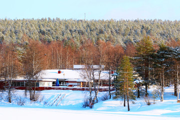 Wall Mural - Cottage house in forest in winter Rovaniemi