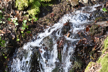 Poster - eau ruisseau environnement