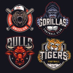 vintage colorful sports clubs logotypes