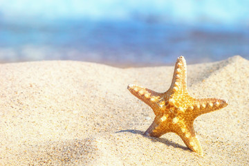 Wall Mural - Starfish in the sand against the background of the surf in the rays of summer sun, close-up