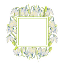 Romantic Spring Frame With Snowdrops On The Outer Edge On A White Isolated Background. Watercolor Painting.
