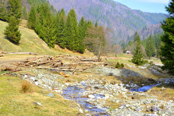 Carpathian mountains. Typical landscape in the forests of Transylvania, Romania. Green landscape in the midsummer, in a sunny day