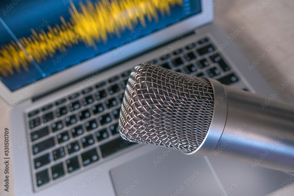 Computer Microphone Signal professional microphone and sound wave on a computer screen Stock Photo ...