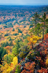 Wall Mural - Sunshine and shadows play across the fall colors at Porcupine Mountains Wilderness State Park, Michigan.