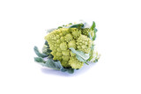 Fototapeta  - Romanesco cauliflower isolated on white background