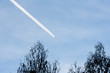 © Miguel - plane in the blue sky