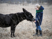 Donkey Is The Girl's Favorite Animal. A Child With A Donkey On A Pasture