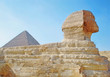 Ancient Great Sphinx of Giza. Right side view point.