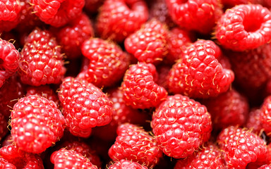 Fresh raspberries background close up