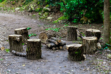Seven Tree Stumps Set Around The Wood Prepared For A Camping Bonfire