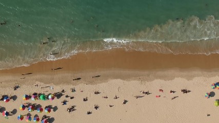 Wall Mural - Vista aérea de uma praia tropical