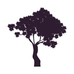 Wall Mural - tree plant forest silhouette icon