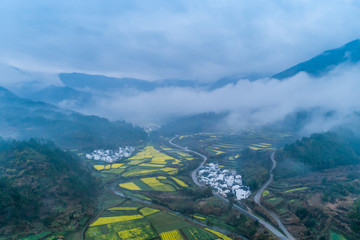  Rapeseed flower in spring in the ancient village in cloud and fog, Hongguan Village, Wuyuan, Jiangxi 