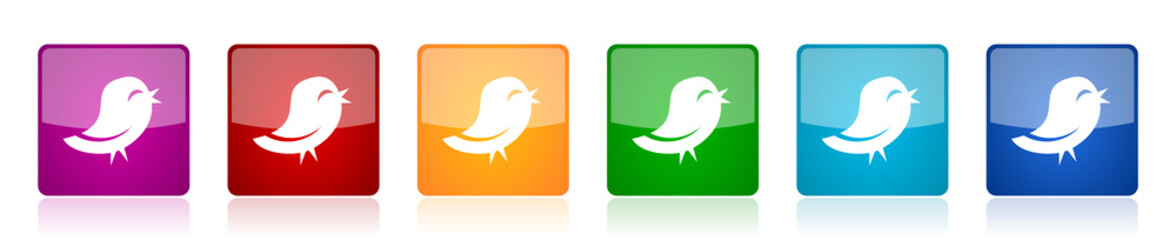 Leinwandbilder - Twitter icon set, colorful square glossy vector illustrations in 6 options for web design and mobile applications