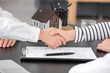 © Pixel-Shot - Little real estate agent with client shaking hands in office