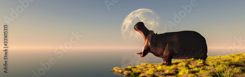 Photographie hippopotamus in the wild
