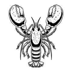 Wall Mural - Illustration of lobster in engraving style on white background. Design element for logo, label, emblem, sign.