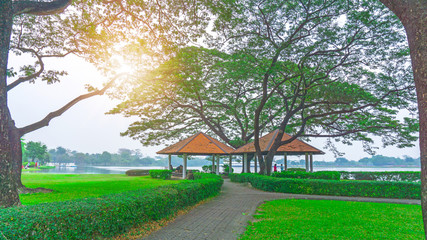 The two gazebo with orange roof under green leaves of big Rain tree on green grass lawn and shrub, grey pattern walkway in the middle under sunlight morning, beside a lake in the publick park