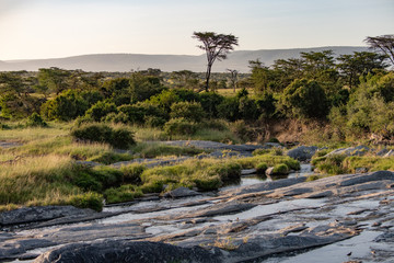 view down a rocky river bed in the masai mara