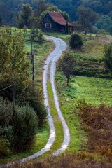 Wall Mural - road