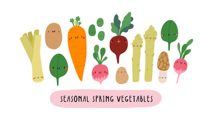 Vector illustration with Seasonal Spring Vegetables on a white background. Smiley cartoon food characters - Leek, Baby Potato, Spinach, Carrot, Beet, Sweet Beans, Radish. Healthy vegetables banner.