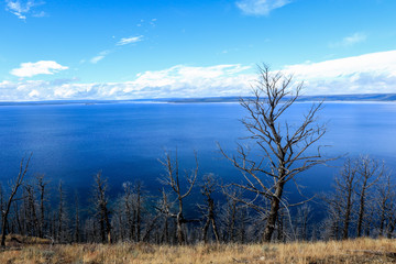  Majestic Landscape of the Trees and Lake in Yellowstone National Park, USA