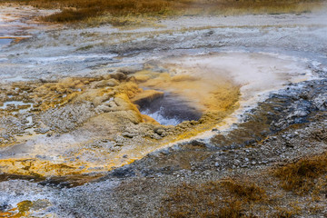 Sulfur Water Points in the Yellowstone National Park, USA