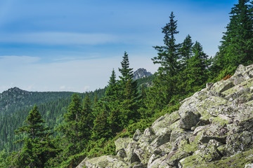 Wall Mural - Alpine meadows Taganay