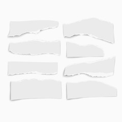 Wall Mural - Set of paper different tears scraps wisps isolated on white background