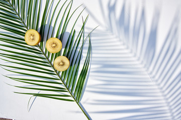 Wall Mural - Green palm leaf with three halves of ripe golden kiwi laying on it, shot from above on white natural background in harsh sunlight with palm leaf shadow. A lot of background.