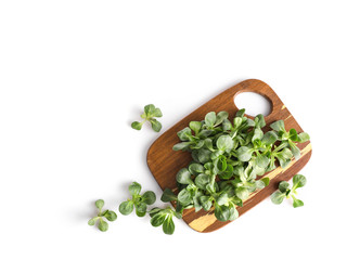 Sticker - Corn salad, lamb's lettuce on wooden board isolated on white background