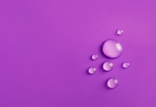 Water Drops On Purple Background