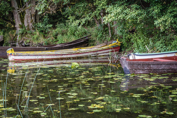 Wall Mural - Boats on the Wigry Lake in Wigry National Park, view from a shore near Slupie and Gawrych Ruda villages, Poland