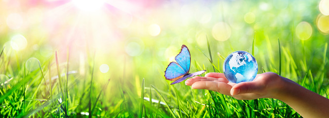 Butterfly meet Human Hand With Glass Globe - Love And Care Environment Concept