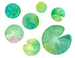 夏の素材：睡蓮の葉の水彩イラストのトレースベクター