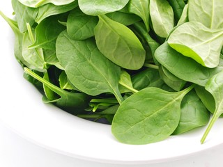 Wall Mural - Spinach