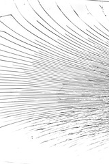 Poster - BROKEN GLASS. black crack isolated on white