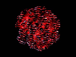 Poster - Abstract flowing wave surface of circle lines on black background for design element, banner, background, 3d