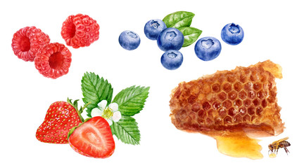 Wall Mural - Honey raspberry strawberry blueberry set watercolor isolated on white background