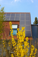 Wall Mural - rooftop with solar panels and yellow flowers