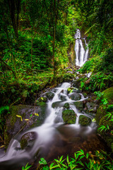 Wall Mural - A Beautiful Waterfall in Hawaii