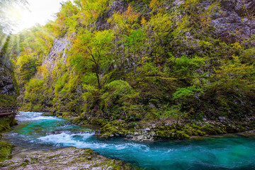 Wall Mural - Mountain river with azure water