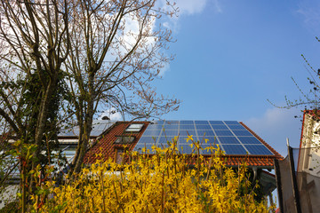 Wall Mural - rooftop with solar panels and yellow flowers