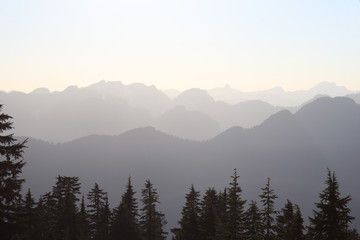 Naklejka na meble Summer Hikes