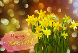 Fototapeta Tulipany - Happy mothers day greeting card with a beautiful bouquet of narcissus and a boke background