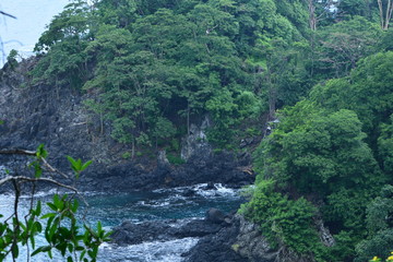 Canvas Print - f noronha